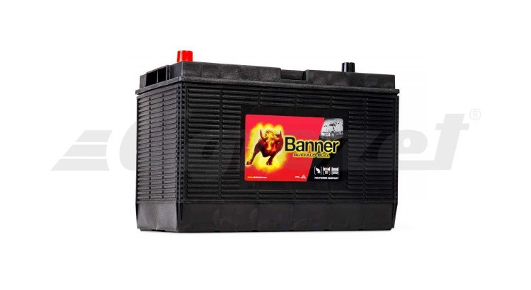 60502 Baterie Banner Buffalo Bull 12V/105Ah 1000A (En)