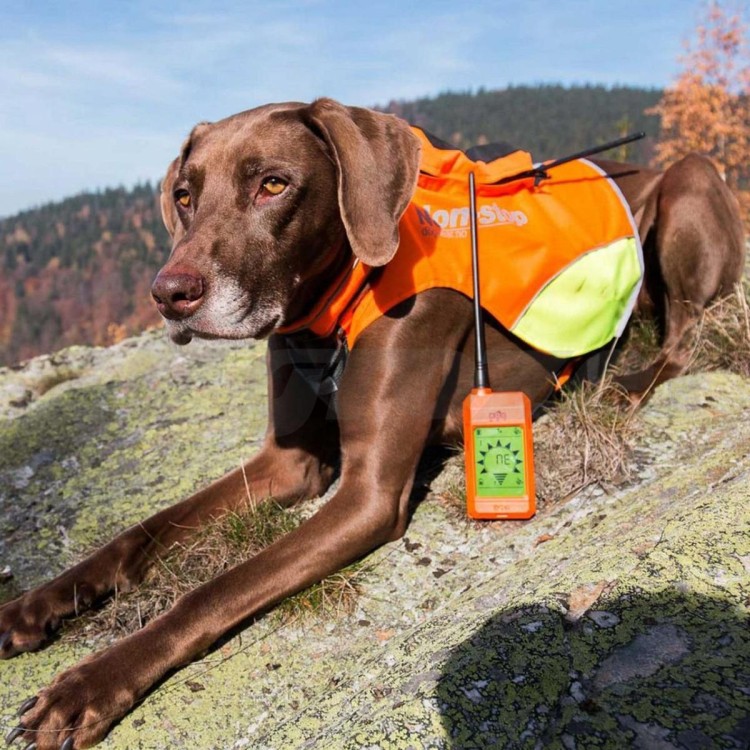 Ochranná vesta pro psa DOG GPS L