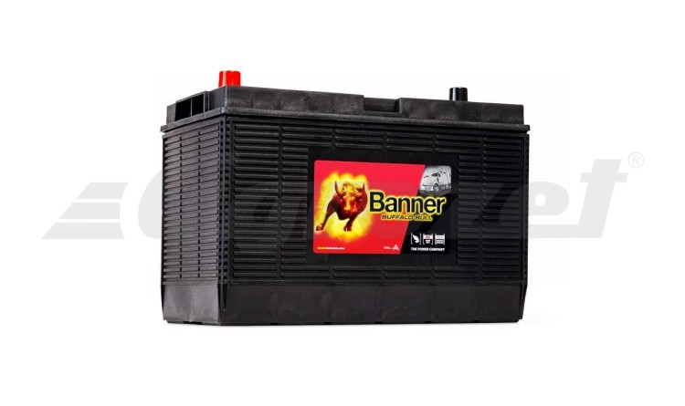 60502 Baterie Banner Buffalo Bull 12V/105Ah 1000A (En)