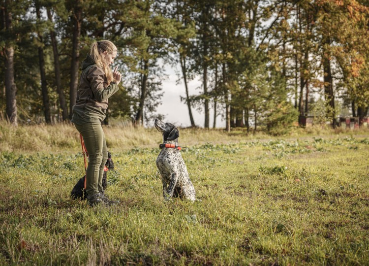 Dog Trace: Spolehlivý pomocník pro každého majitele psa